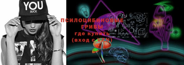 стаф Магадан