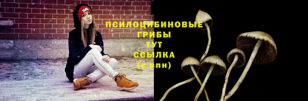 мдпв Майский