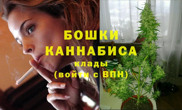 мдпв Майский