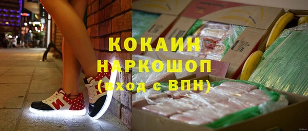 стаф Магадан